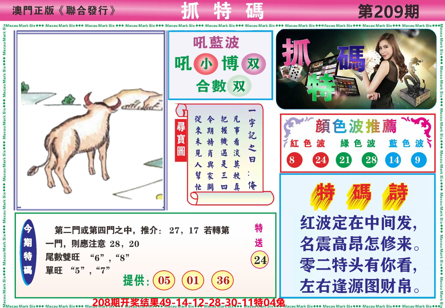 澳门抓特码A 第209期