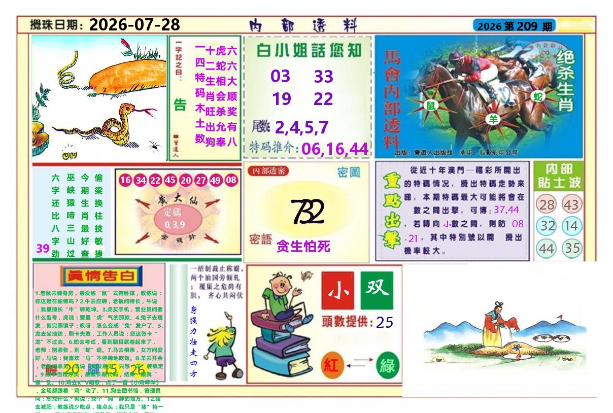 澳门内部透料A 第209期