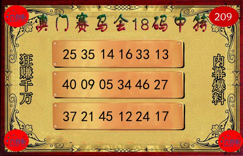 赛马会18码 第209期