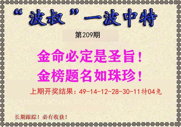 波叔中特 第209期