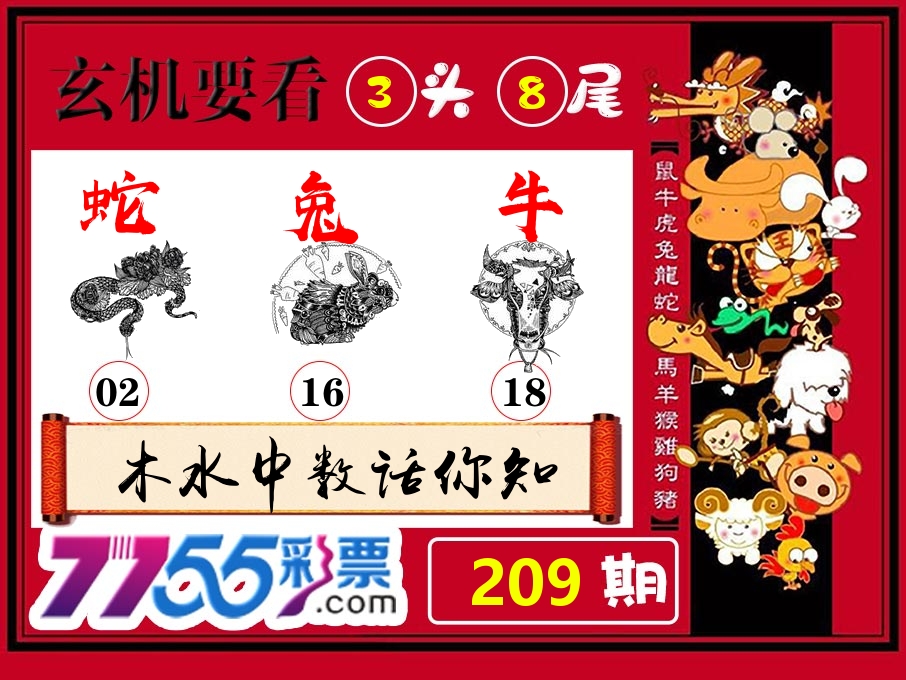 玄机要看 第209期