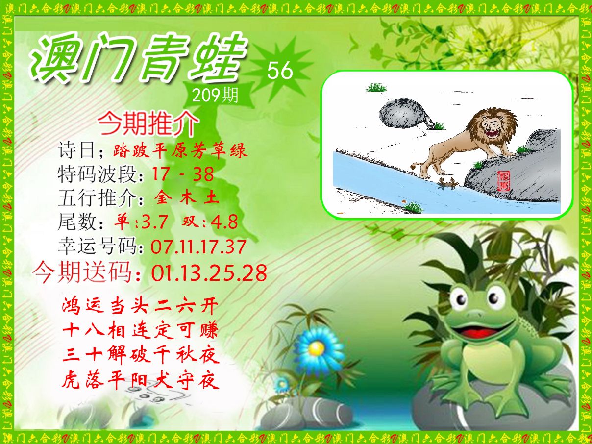 青蛙系列56 第209期