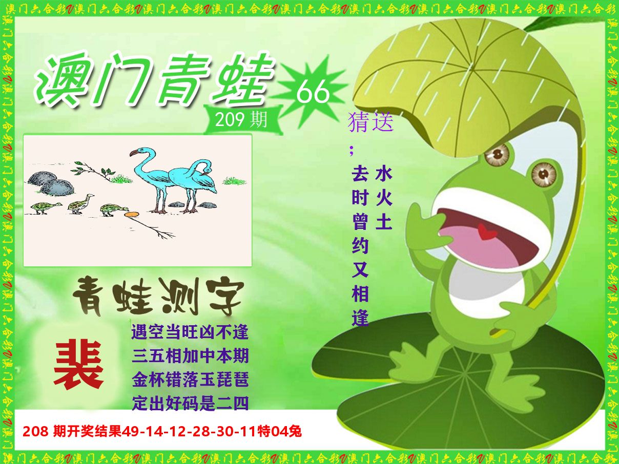 青蛙系列66 第209期