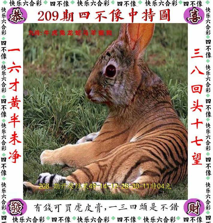 四不像 第209期