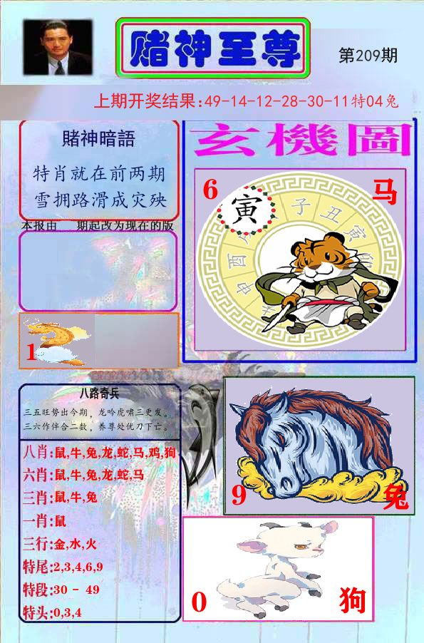 赌神至尊 第209期