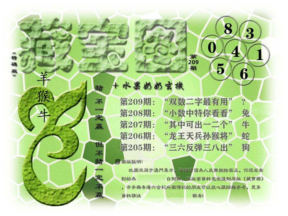 藏宝图奶奶玄机 第209期
