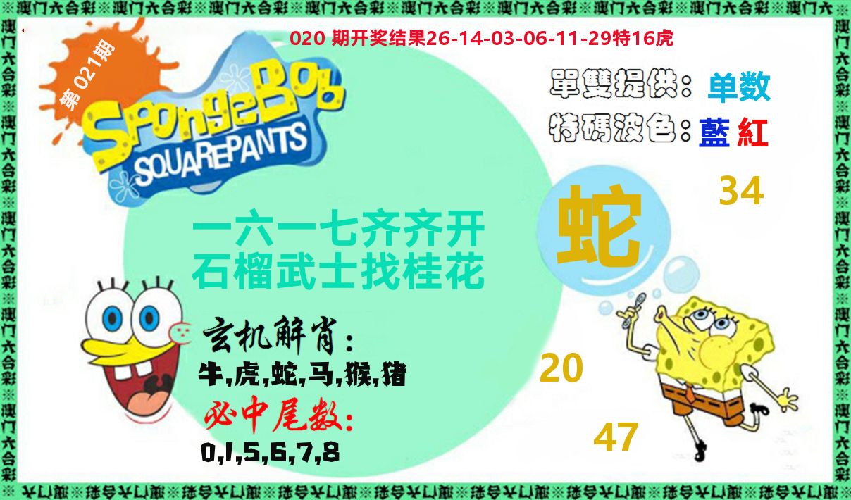 新特码玄机 第21期