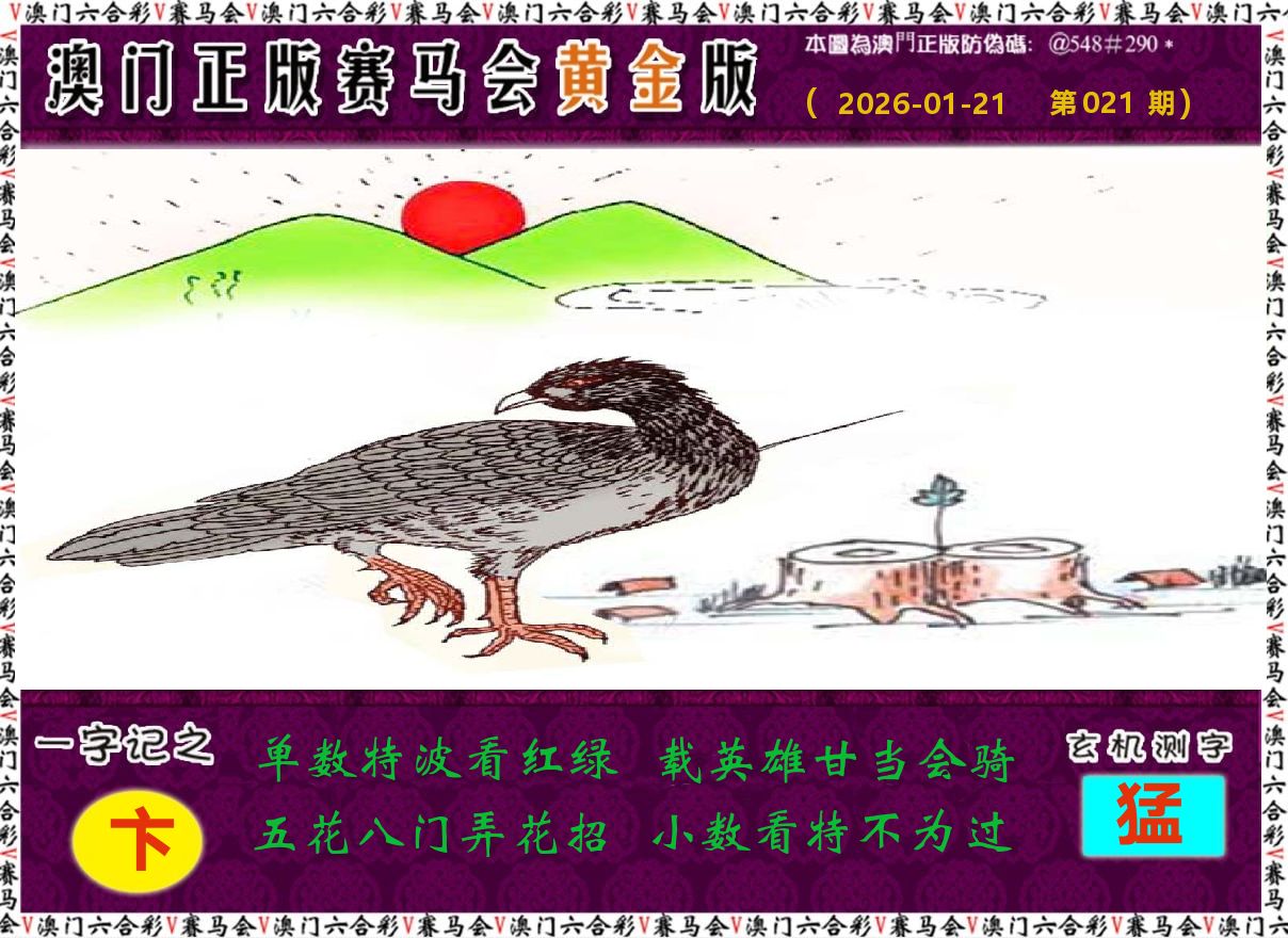 赛马会黄金版 第21期