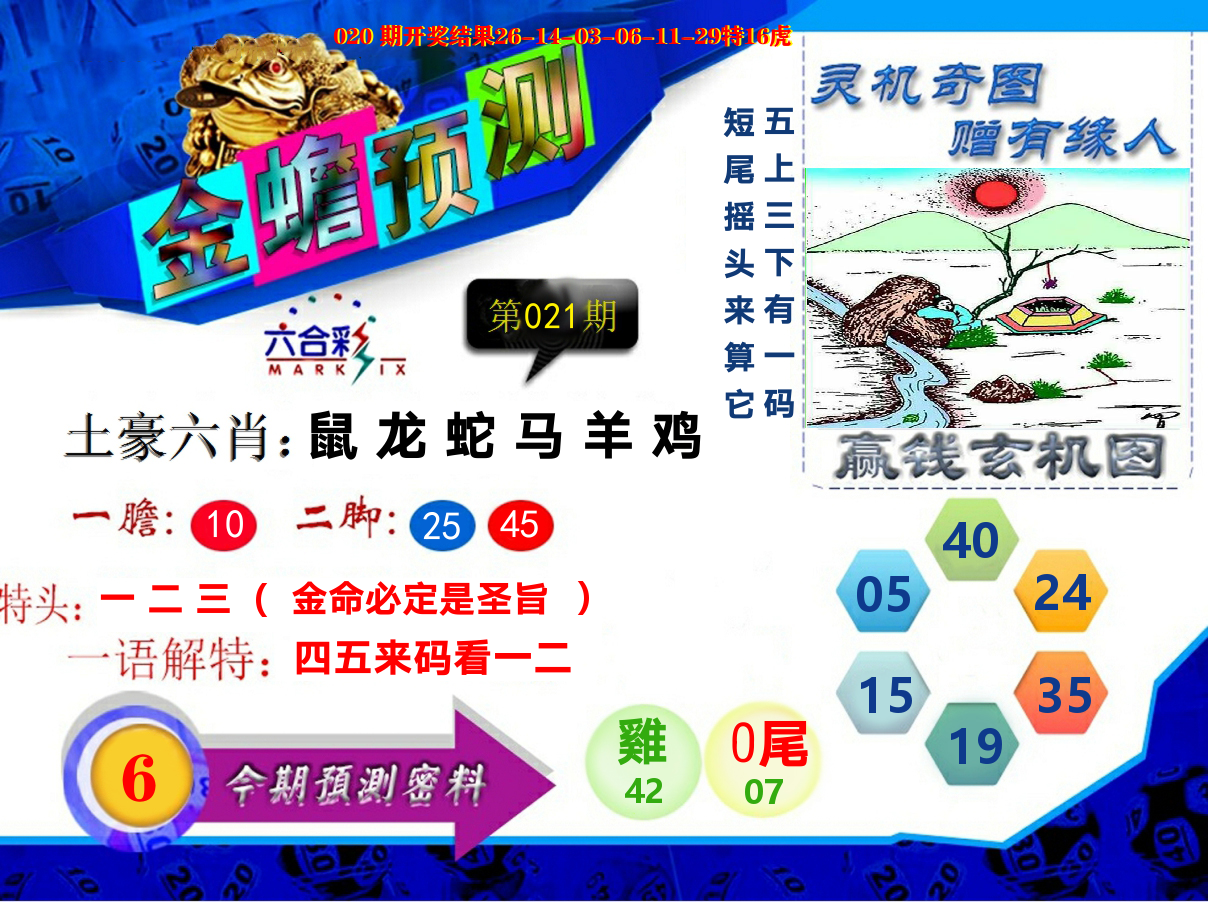 金蟾预测 第21期
