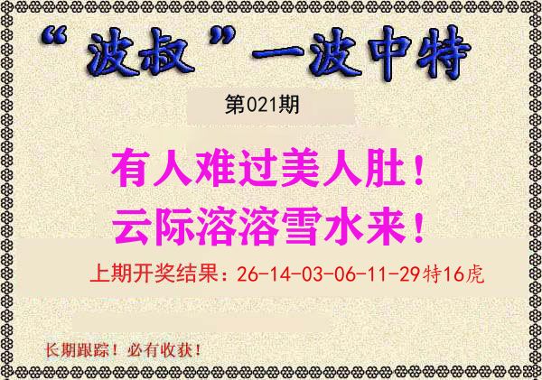 波叔中特 第21期