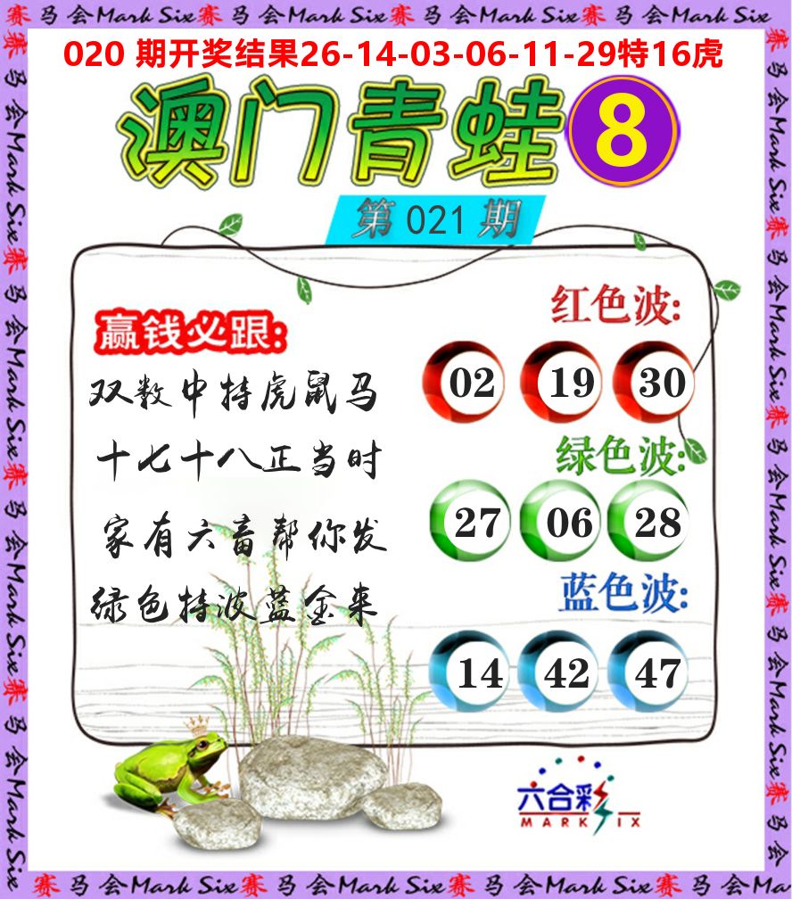 青蛙系列8 第21期