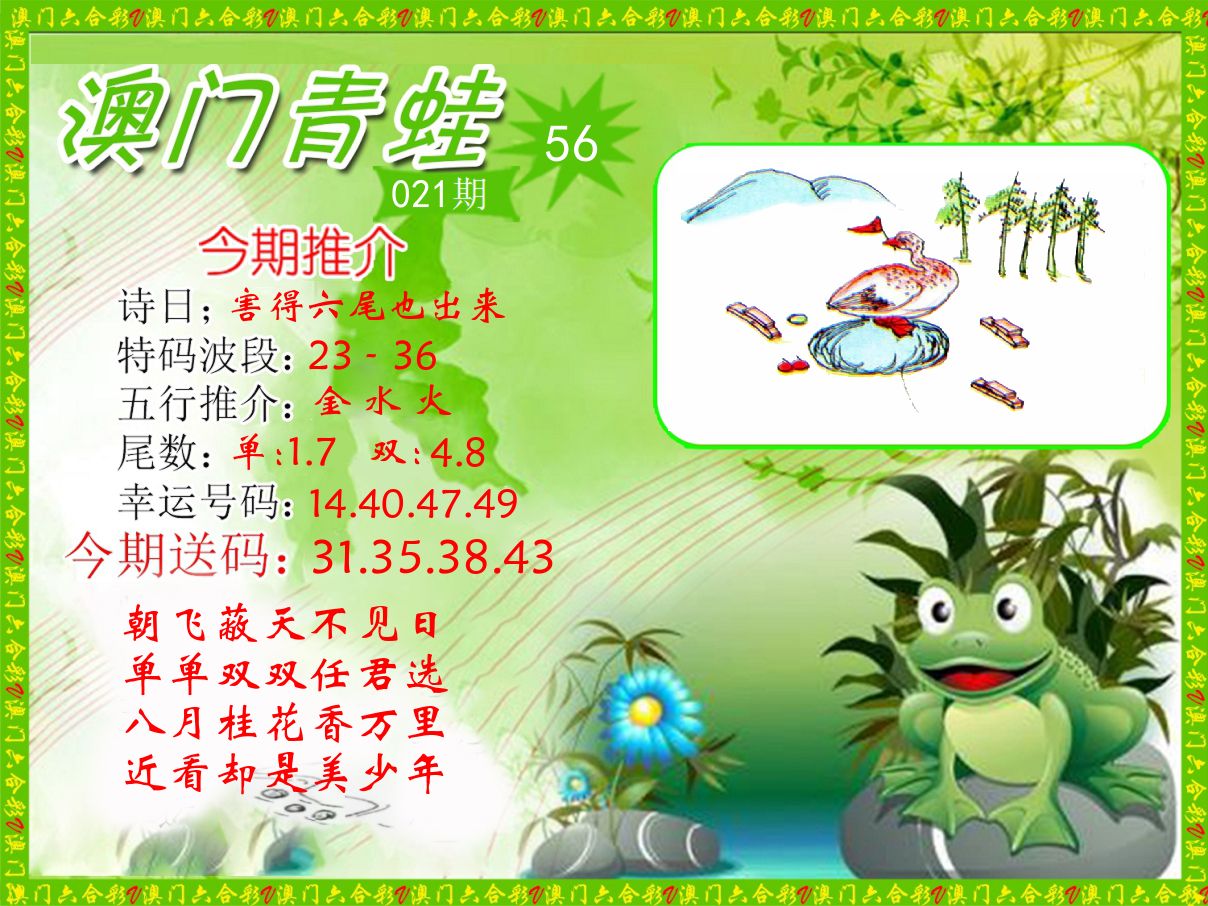 青蛙系列56 第21期