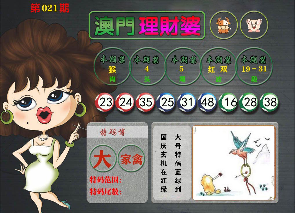 理财婆 第21期