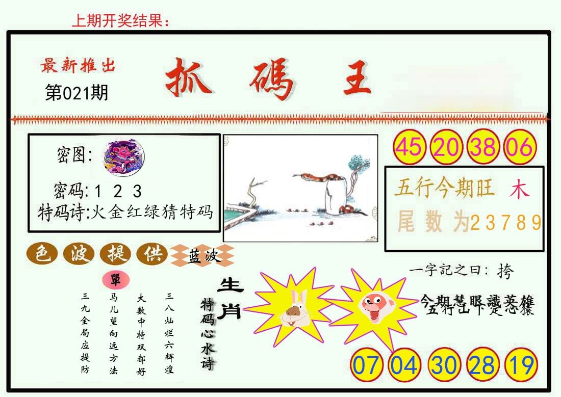 最新抓码王 第21期