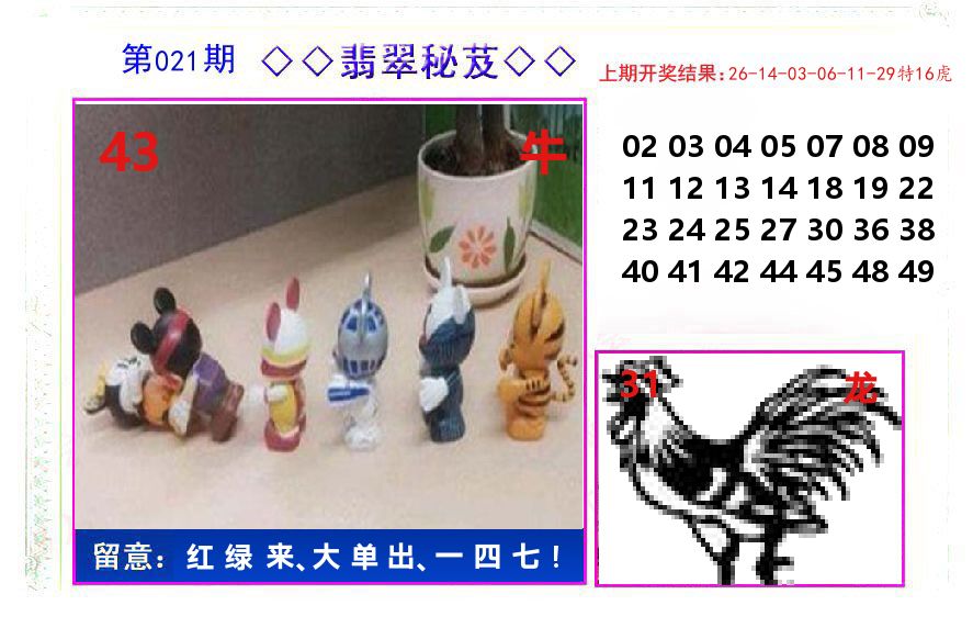 翡翠秘芨 第21期