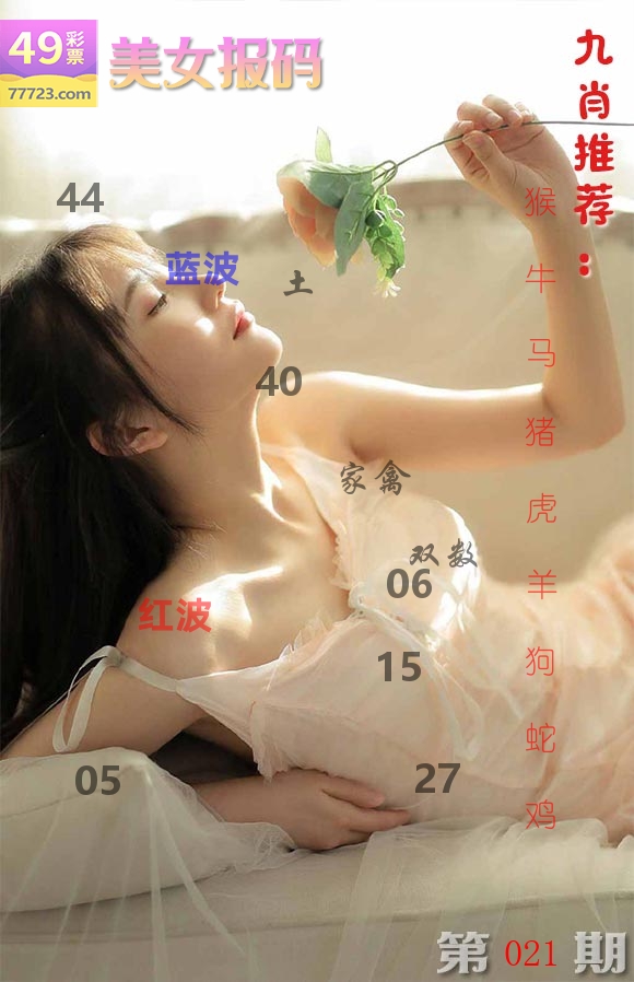 美女报码 第21期