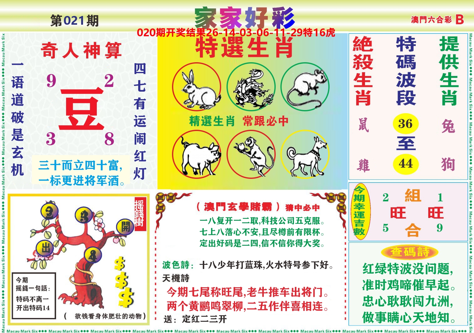 家家好彩B 第21期