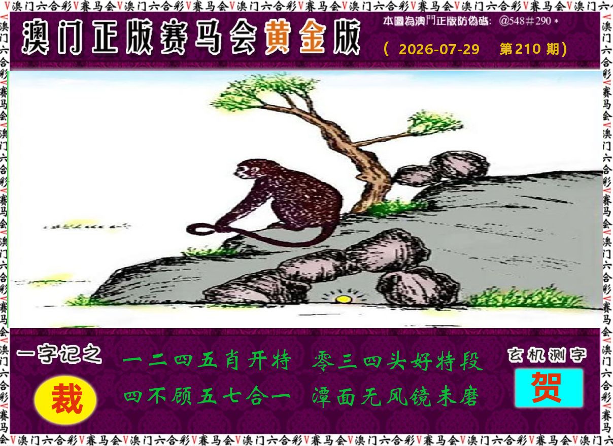 赛马会黄金版 第210期