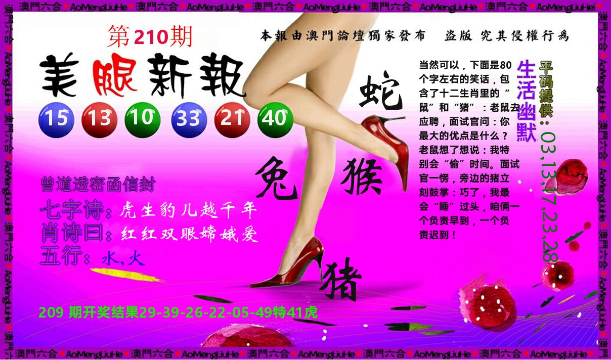 美腿新报 第210期