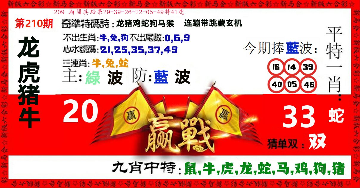 赢站 第210期