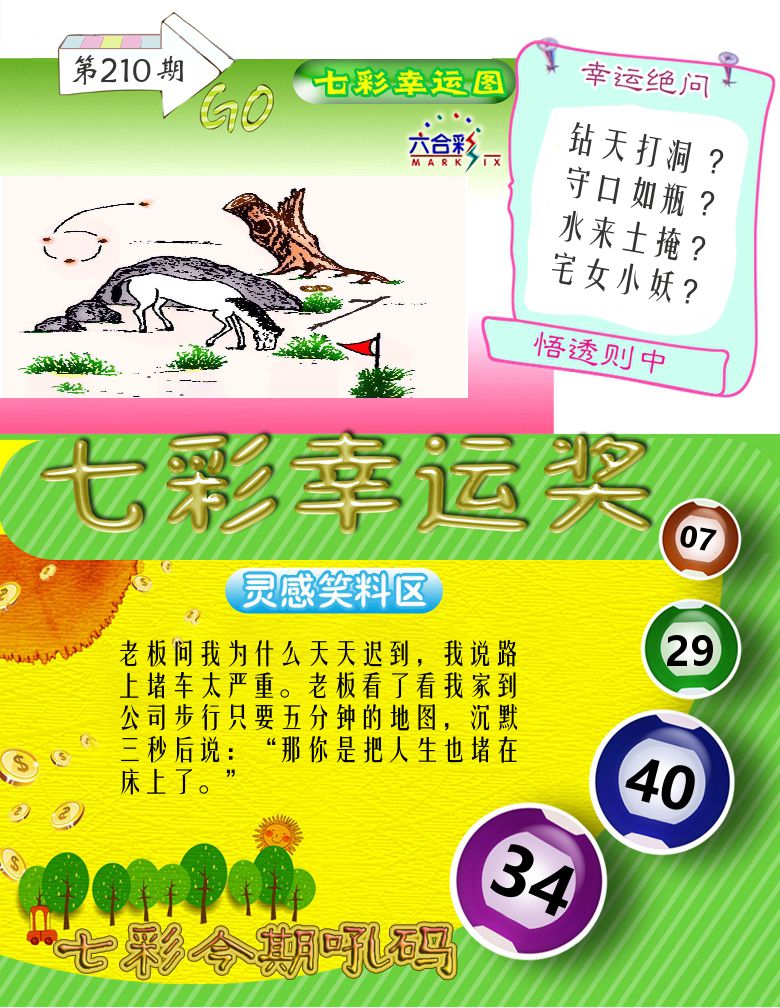 七彩幸运奖 第210期