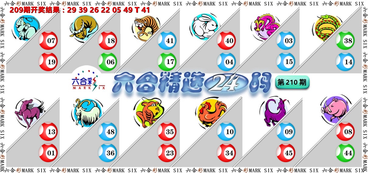 六合精选24码 第210期