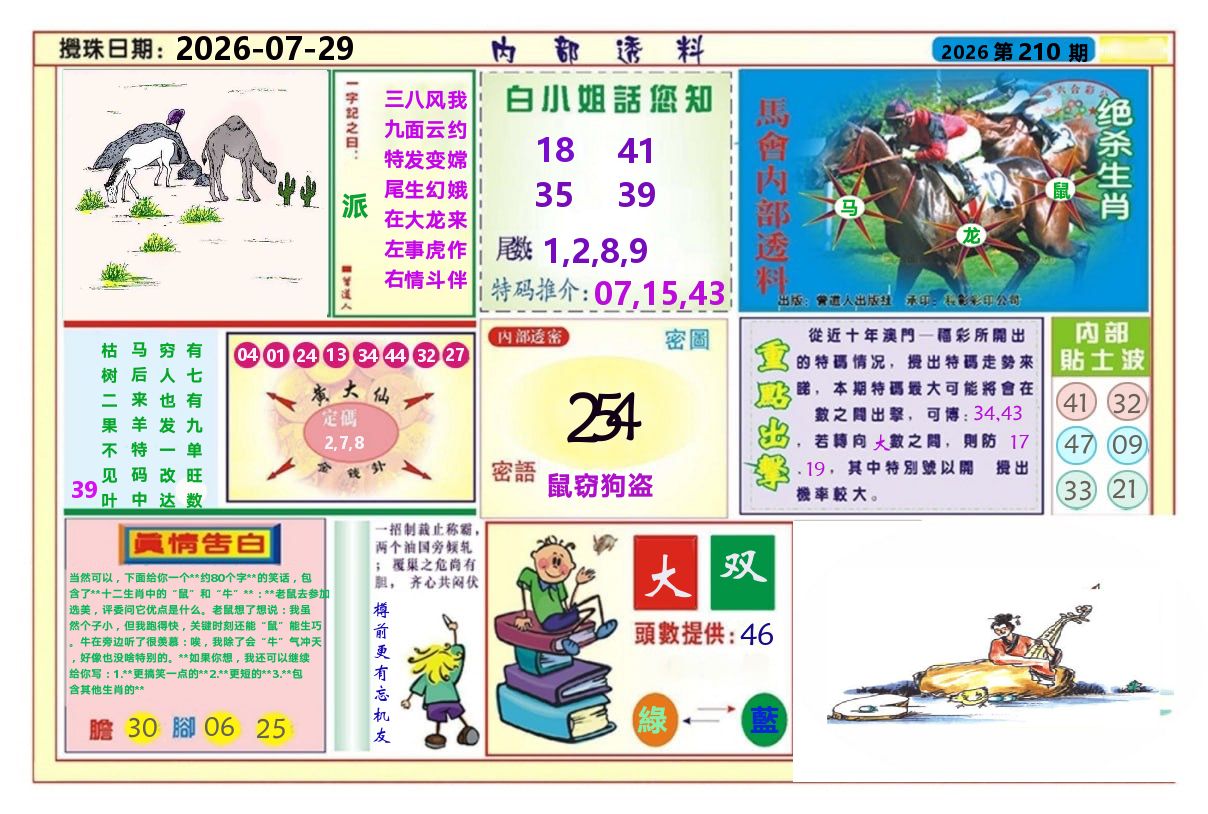 澳门内部透料A 第210期