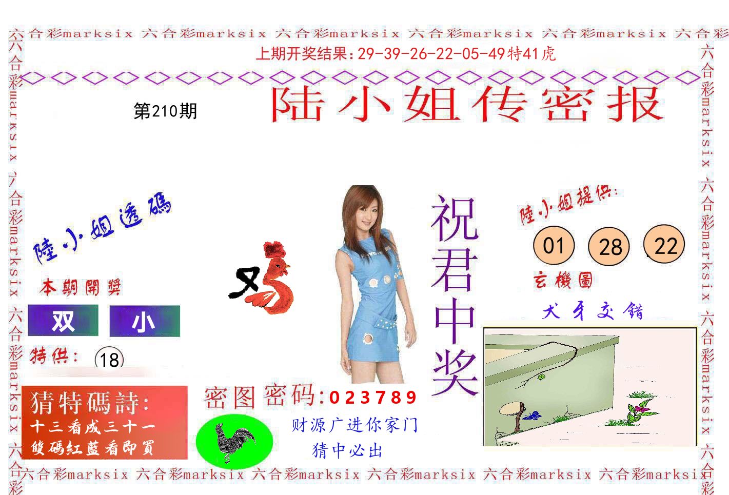 陆小姐密报 第210期