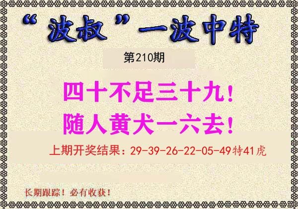 波叔中特 第210期