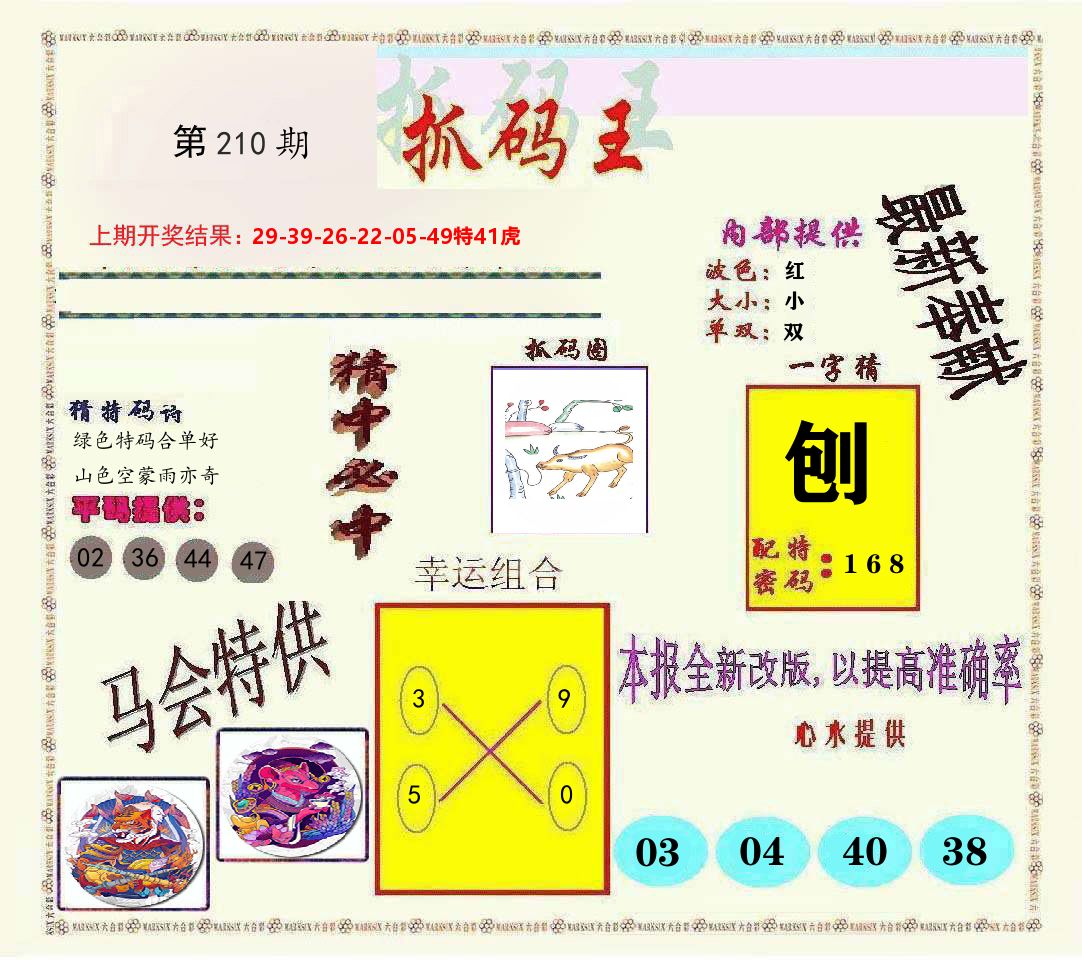 抓码王 第210期