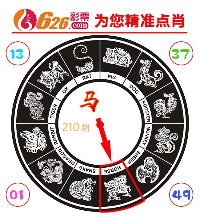 精准点肖 第210期