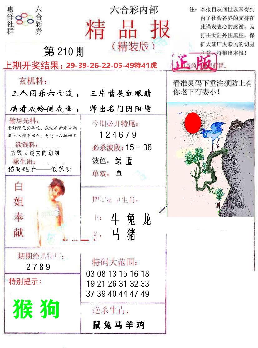 精品报 第210期