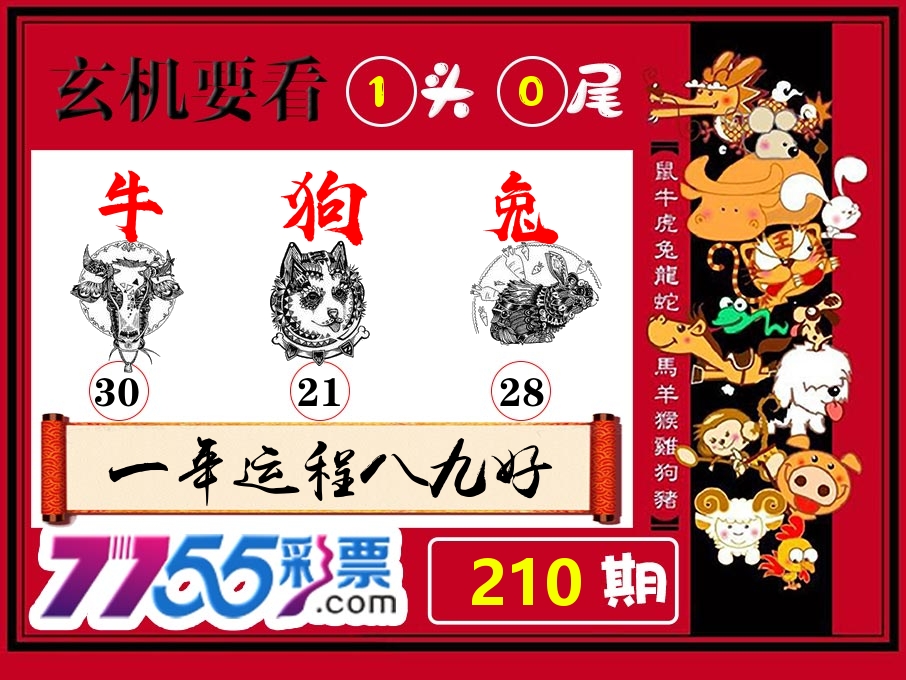 玄机要看 第210期