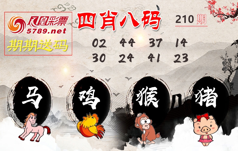 四肖八码期期送 第210期