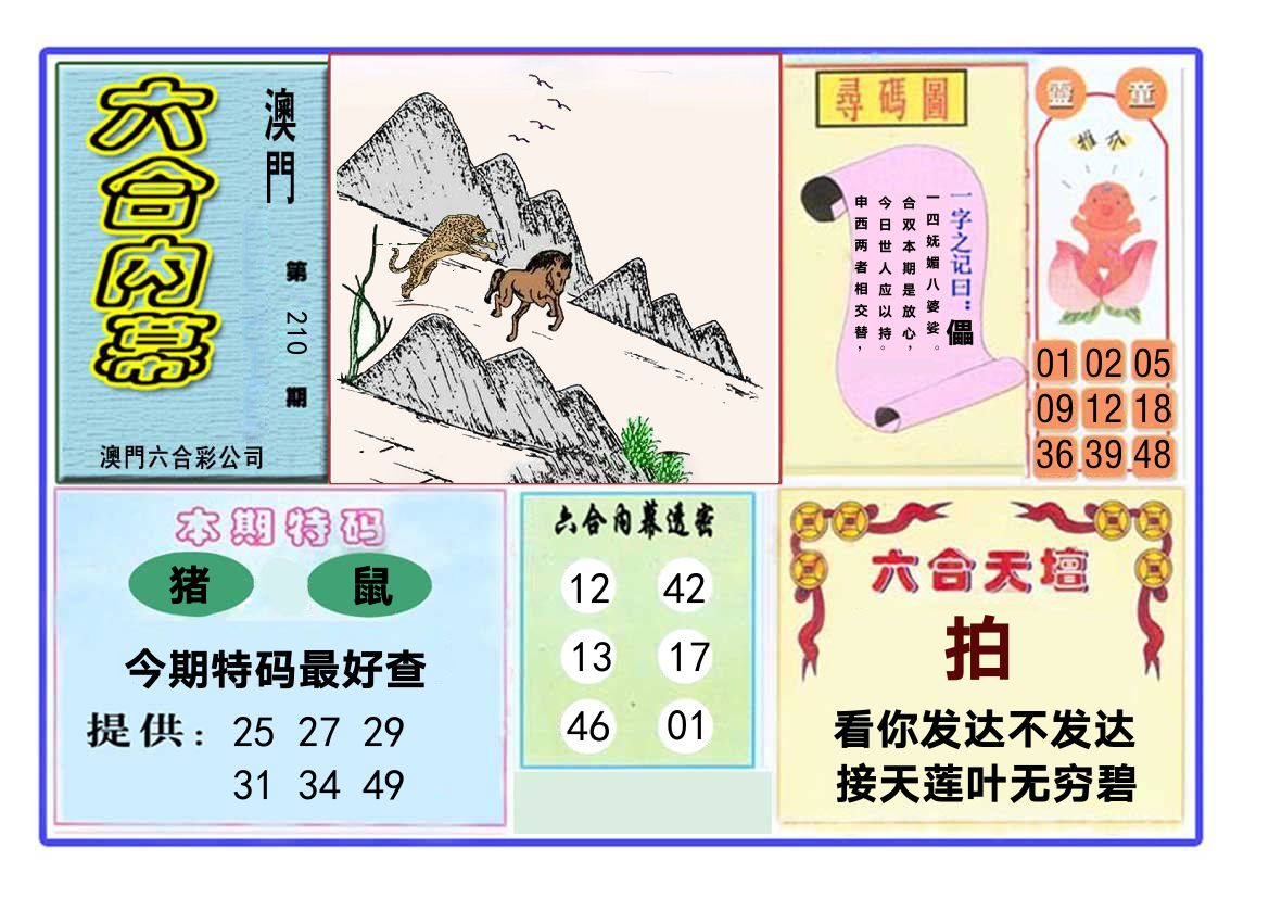 六合内幕 第210期
