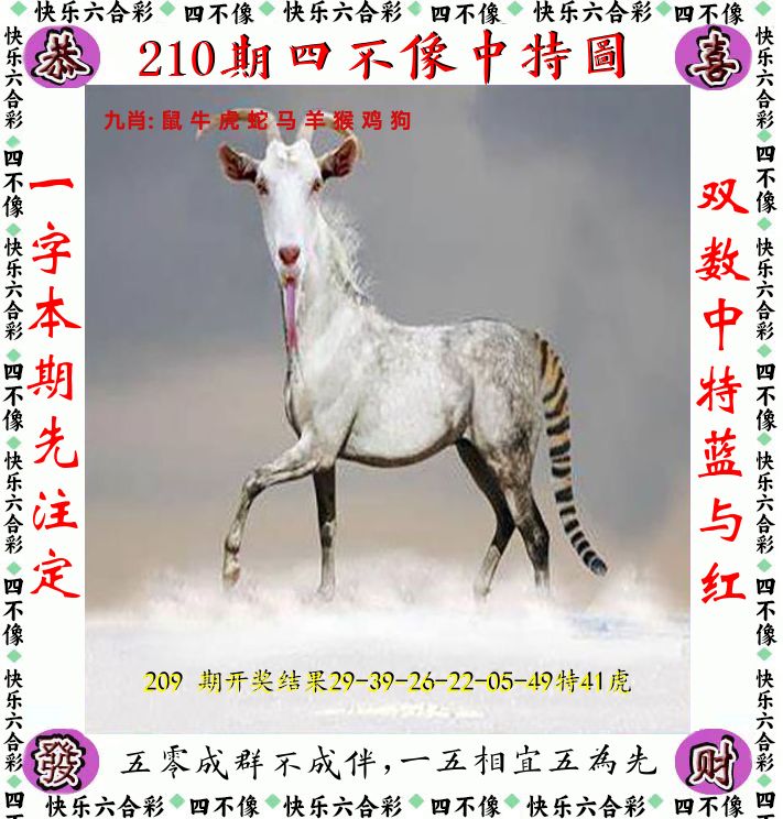 四不像 第210期