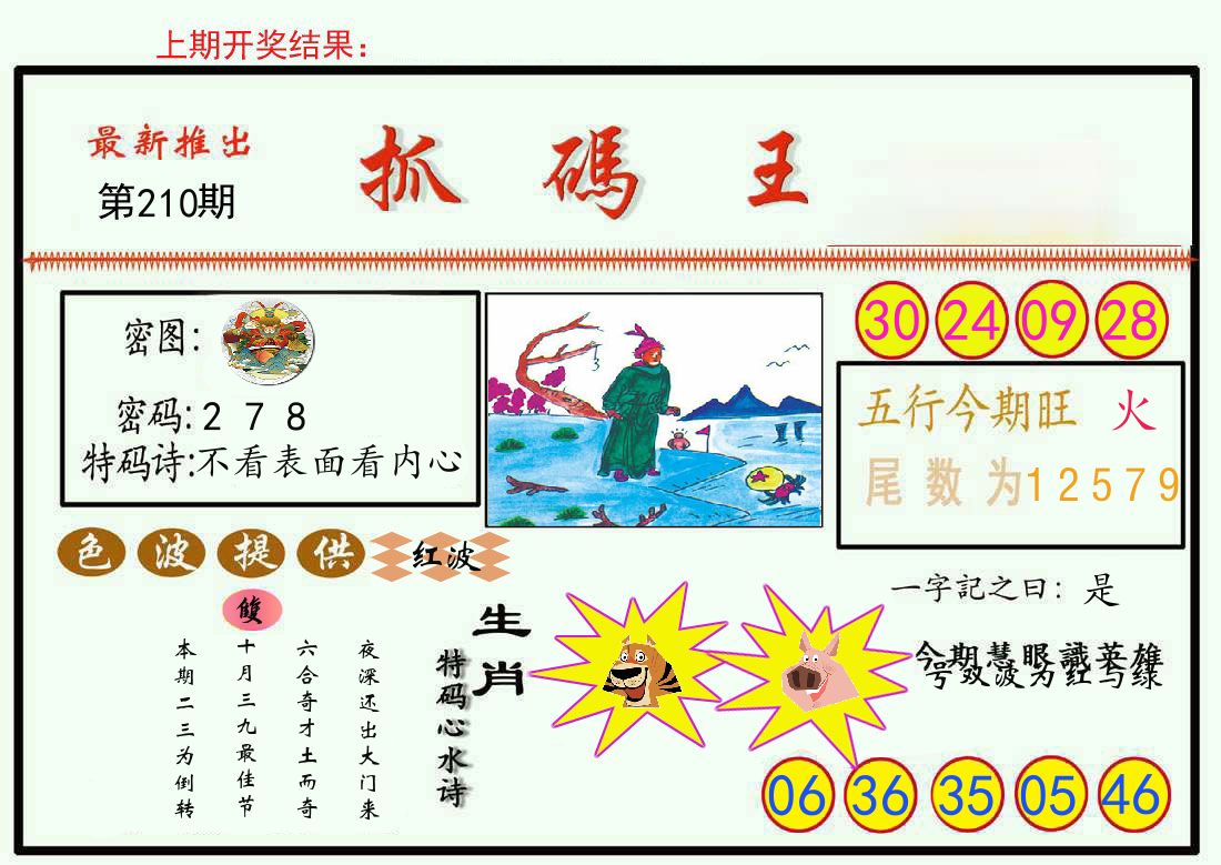 最新抓码王 第210期
