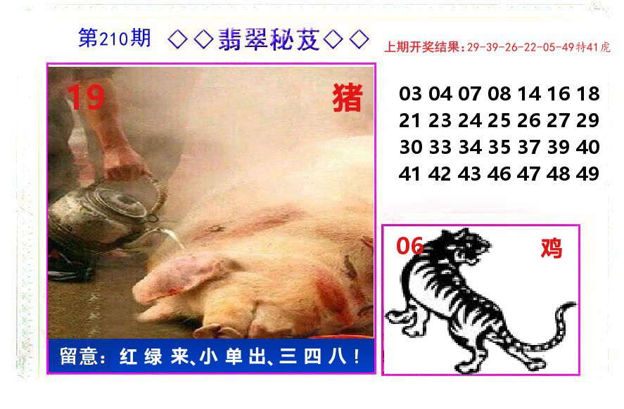 翡翠秘芨 第210期