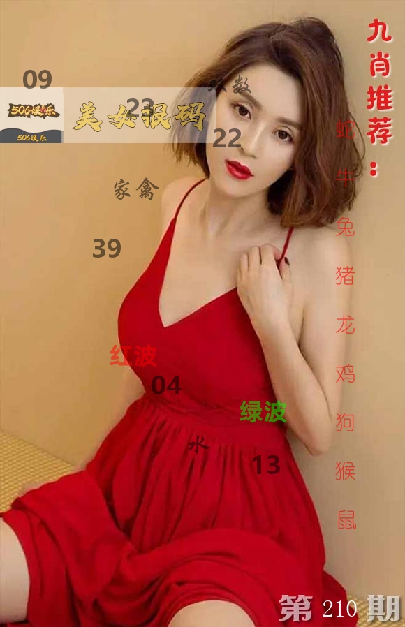 美女报码 第210期