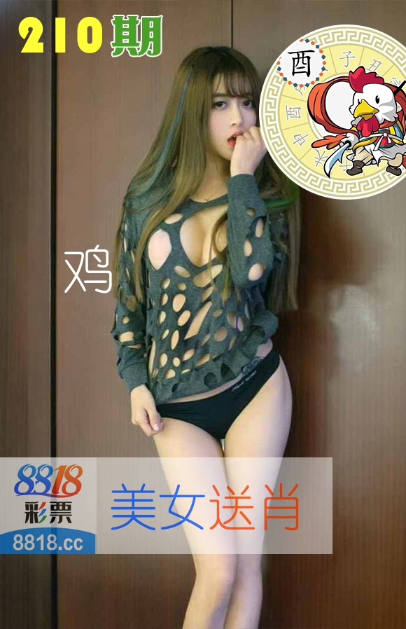美女送肖 第210期