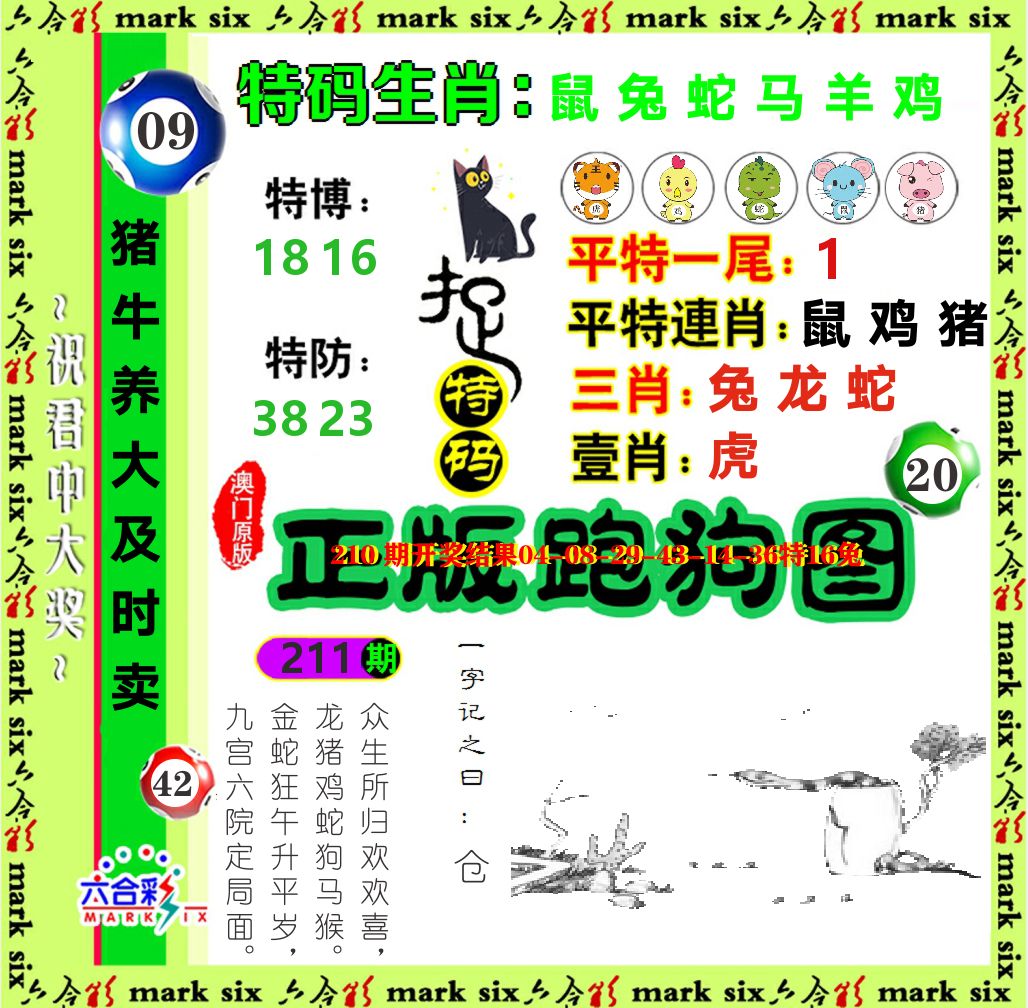 正版跑狗图 第211期