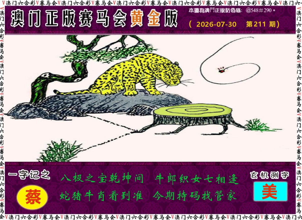 赛马会黄金版 第211期