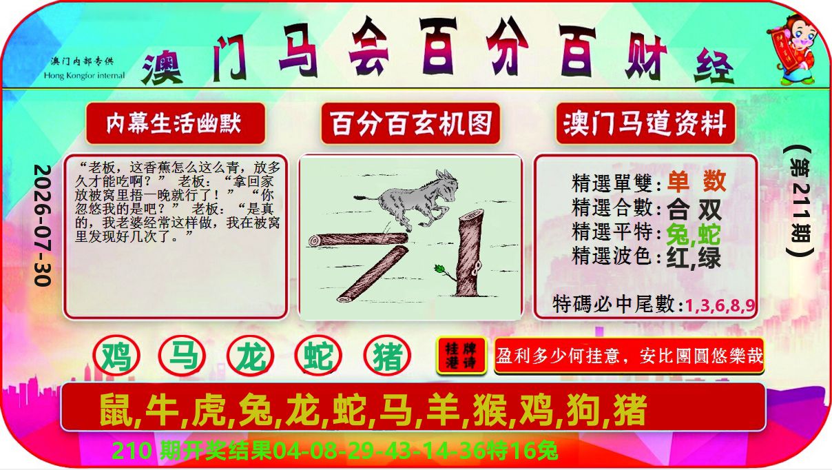 百分百财经 第211期