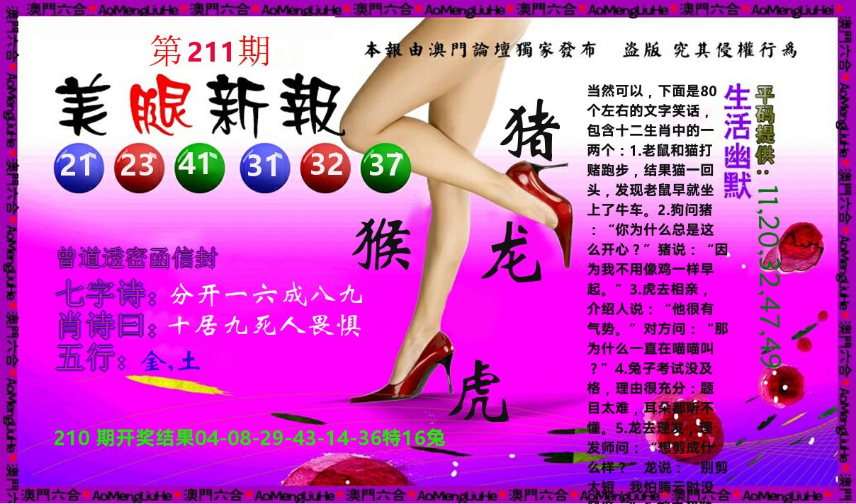 美腿新报 第211期