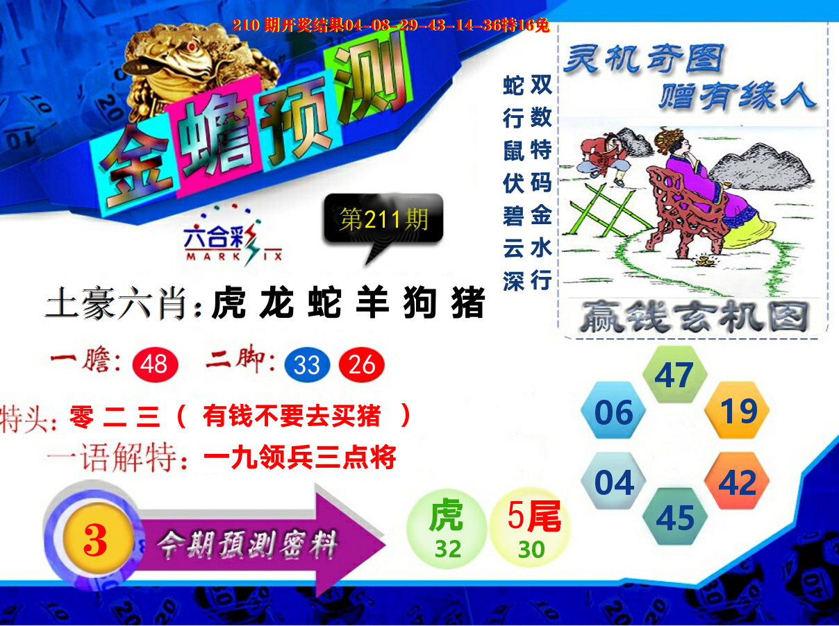 金蟾预测 第211期