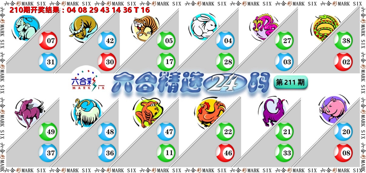 六合精选24码 第211期