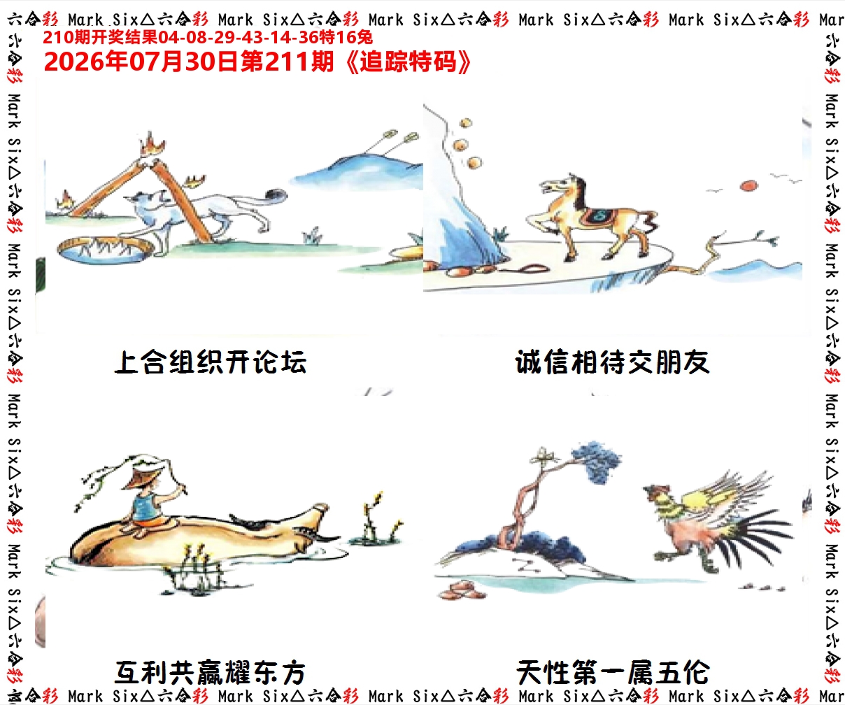 追踪特码 第211期