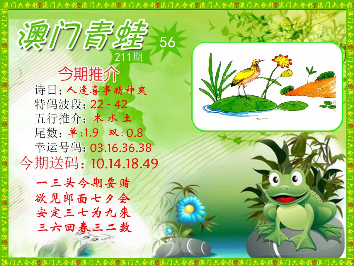 青蛙系列56 第211期