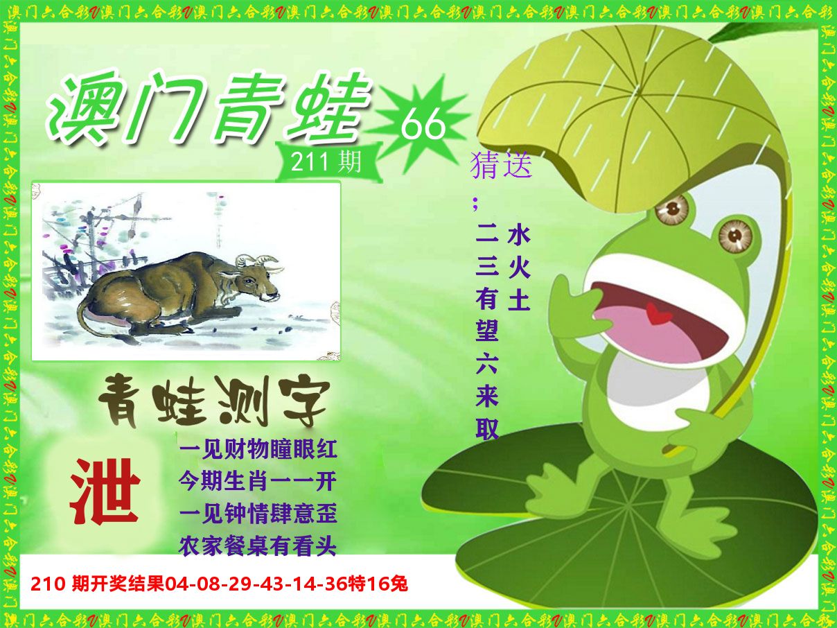 青蛙系列66 第211期