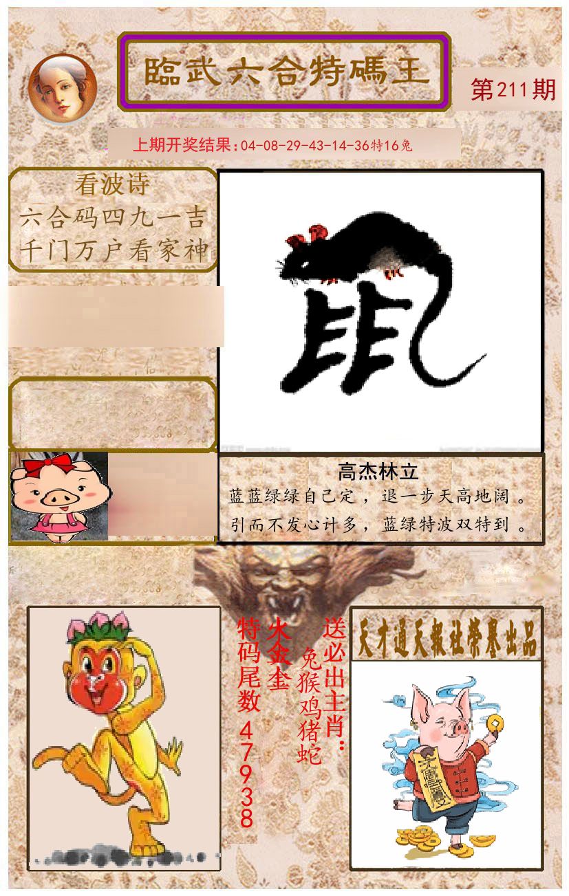 臨武六合特码王 第211期
